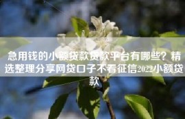 急用钱的小额贷款贷款平台有哪些？精选整理分享网贷口子不看征信2022小额贷款