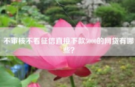 不审核不看征信直接下款5000的网贷有哪些？
