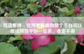 精选整理，信用差有逾期哪个平台可以借钱网贷平台一览表，拿走不谢