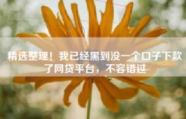 精选整理！我已经黑到没一个口子下款了网贷平台，不容错过