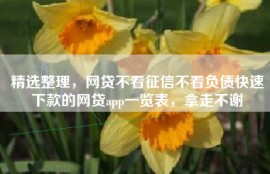 精选整理，网贷不看征信不看负债快速下款的网贷app一览表，拿走不谢