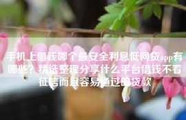 手机上借钱哪个最安全利息低网贷app有哪些？精选整理分享什么平台借钱不看征信而且容易通过的贷款