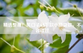 精选整理！黑口子必下款小额贷款，不容错过
