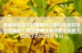 有逾期征信不好哪里可以借到钱借款平台有哪些？精选整理分享网黑全拒能下款的口子2022网贷平台