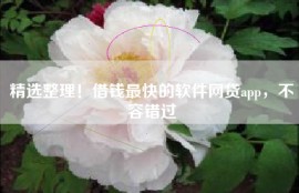 精选整理！借钱最快的软件网贷app，不容错过