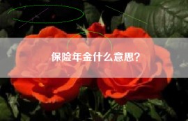 保险年金什么意思？
