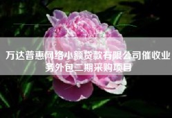 万达普惠网络小额贷款有限公司催收业务外包二期采购项目