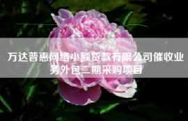 万达普惠网络小额贷款有限公司催收业务外包二期采购项目