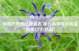 房地产市场已现疲态 银行内部指示收紧房贷口子(转载)