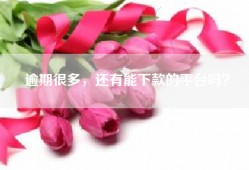 逾期很多，还有能下款的平台吗？