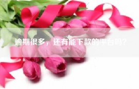 逾期很多，还有能下款的平台吗？