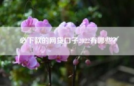 必下款的网贷口子2022有哪些？