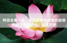 网贷名单一览，征信很黑有逾期也能借的网贷贷款平台，拿走不谢