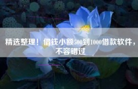 精选整理！借钱小额500到1000借款软件，不容错过