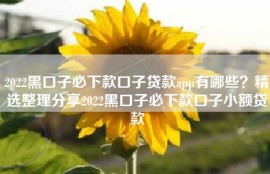 2022黑口子必下款口子贷款app有哪些？精选整理分享2022黑口子必下款口子小额贷款