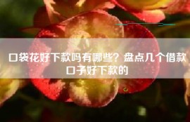 口袋花好下款吗有哪些？盘点几个借款口子好下款的