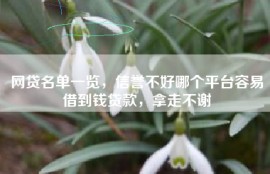 网贷名单一览，信誉不好哪个平台容易借到钱贷款，拿走不谢