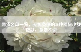 网贷名单一览，无视负债的20种网贷小额贷款，拿走不谢