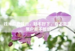 钱米应急钱包，好不好下，靠不靠谱，黑户能不能借