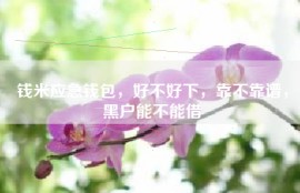 钱米应急钱包，好不好下，靠不靠谱，黑户能不能借