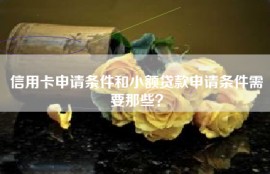 信用卡申请条件和小额贷款申请条件需要那些？