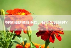 蚂蚁借呗提前还款，有什么影响吗？