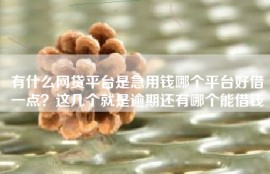 有什么网贷平台是急用钱哪个平台好借一点？这几个就是逾期还有哪个能借钱