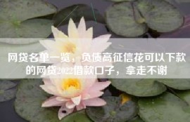 网贷名单一览，负债高征信花可以下款的网贷2022借款口子，拿走不谢