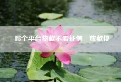 哪个平台贷款不看征信 放款快