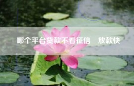 哪个平台贷款不看征信 放款快
