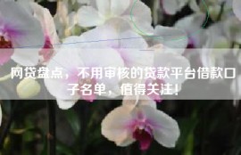 网贷盘点，不用审核的贷款平台借款口子名单，值得关注！