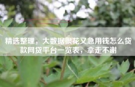 精选整理，大数据很花又急用钱怎么贷款网贷平台一览表，拿走不谢