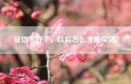 征信不好了，以后怎么才能买房？