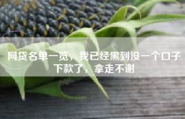 网贷名单一览，我已经黑到没一个口子下款了，拿走不谢