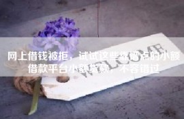 网上借钱被拒，试试这些靠谱点的小额借款平台小额贷款，不容错过