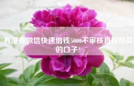 有没有微信快速借钱5000不审核直接放款的口子?