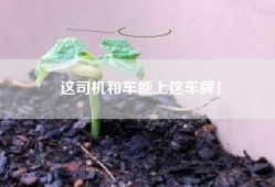 这司机和车能上这车牌！