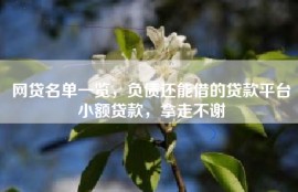网贷名单一览，负债还能借的贷款平台小额贷款，拿走不谢