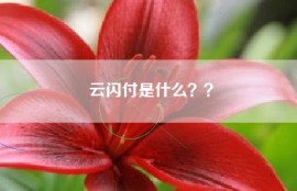 云闪付是什么？？