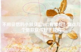 不用征信的小额贷款2022有哪些？盘点几个借款软件好下款的