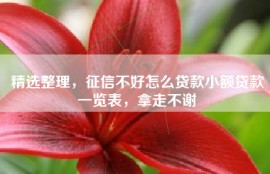 精选整理，征信不好怎么贷款小额贷款一览表，拿走不谢