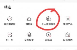 征信怎么查。怀疑儿子网络赌博，怎么查他的征信？