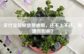 支付宝花呗借呗逾期，还不上不还，有哪些影响？