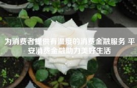 为消费者提供有温度的消费金融服务 平安消费金融助力美好生活