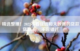 精选整理！2022不看征信和大数据的贷款贷款app，不容错过
