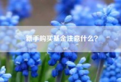 新手购买基金注意什么？