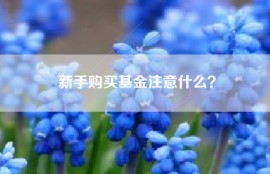 新手购买基金注意什么？