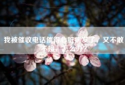 我被催收电话催得心脏病发了，又不敢不接，怎么办？