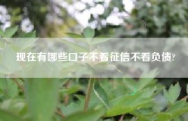 现在有哪些口子不看征信不看负债?