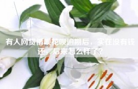 有人网贷借呗花呗逾期后，实在没有钱还，后来怎么样了？
